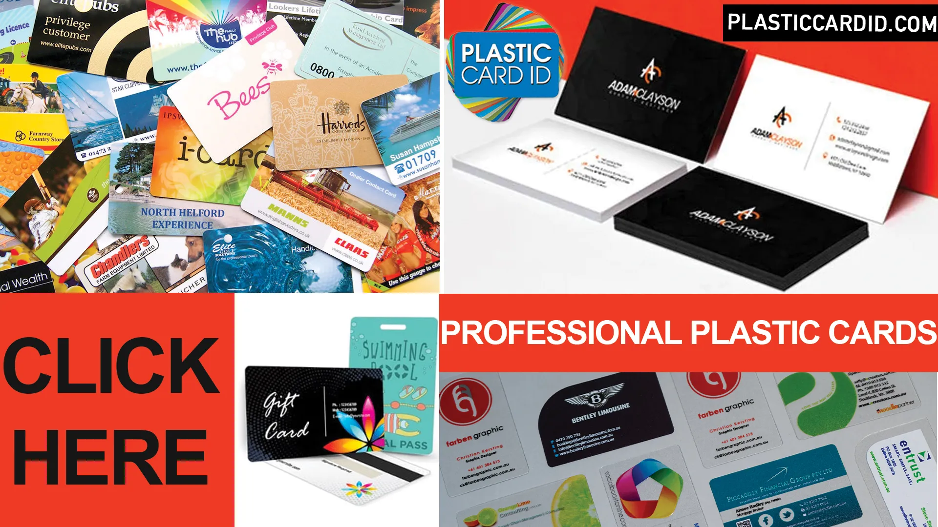Product Portfolio and Specialty Cards